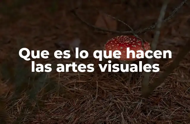 Que es Lo que Hacen las Artes Visuales