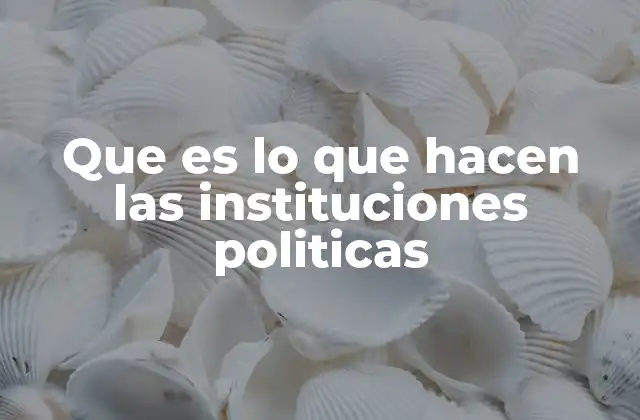 Que es Lo que Hacen las Instituciones Politicas