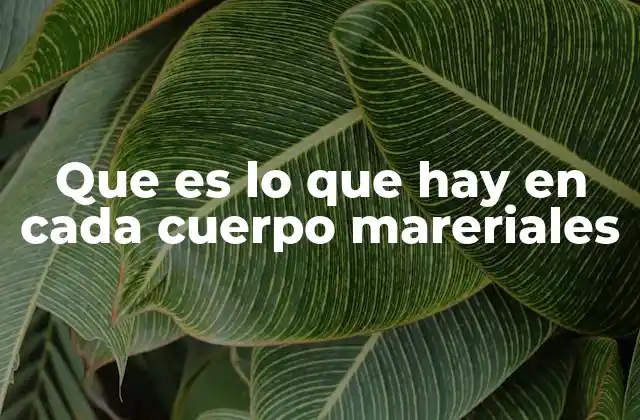 Que es Lo que Hay en Cada Cuerpo Mareriales 2 La composición interna de los materiales