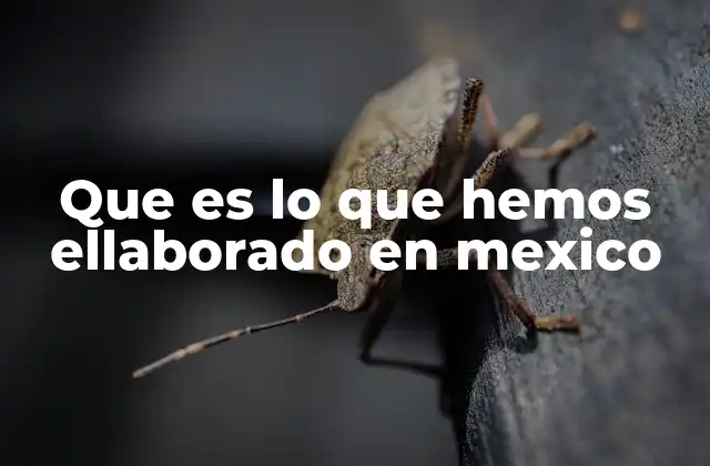 Que es Lo que Hemos Ellaborado en Mexico