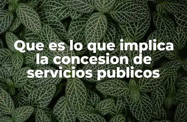 Que es Lo que Implica la Concesion de Servicios Publicos 2 La relación entre el Estado y el sector privado en la provisión de servicios esenciales