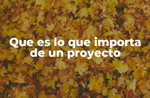 Que es Lo que Importa de un Proyecto