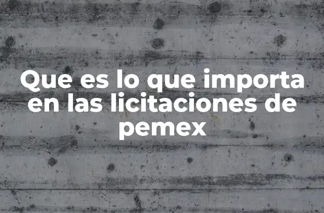 Que es Lo que Importa en las Licitaciones de Pemex