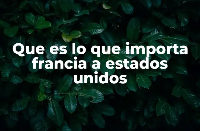 Que es Lo que Importa Francia a Estados Unidos