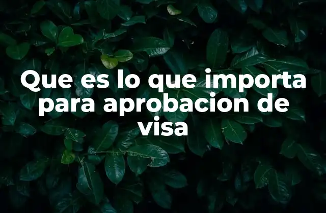 Que es Lo que Importa para Aprobacion de Visa