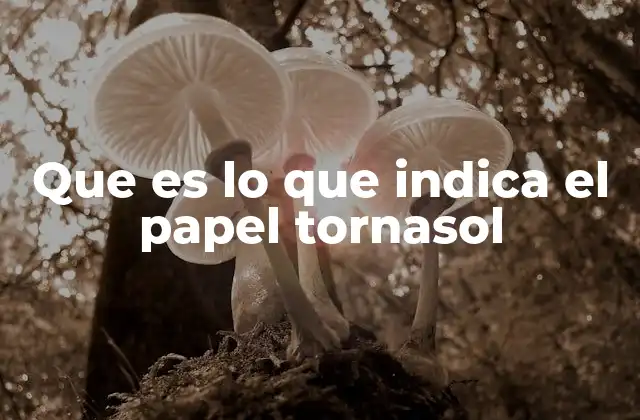 Que es Lo que Indica el Papel Tornasol