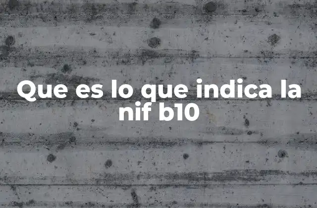 Que es Lo que Indica la Nif B10