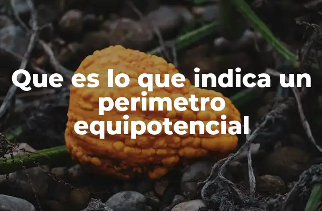 Que es Lo que Indica un Perimetro Equipotencial