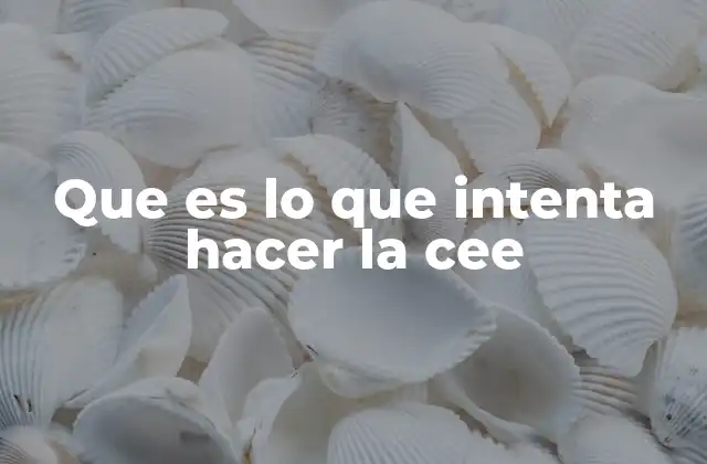 Que es Lo que Intenta Hacer la Cee