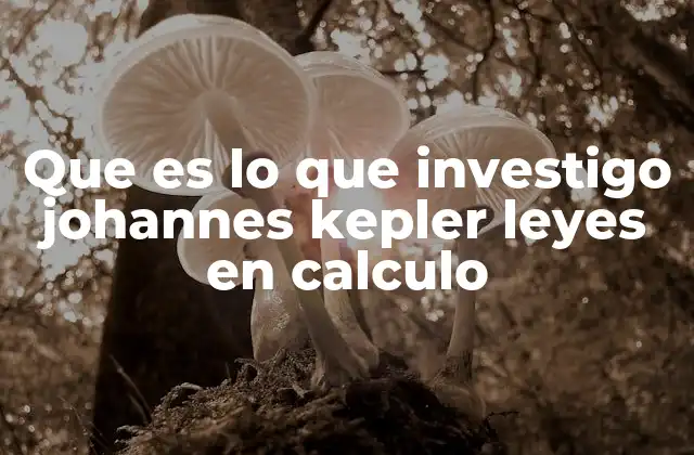 Que es Lo que Investigo Johannes Kepler Leyes en Calculo