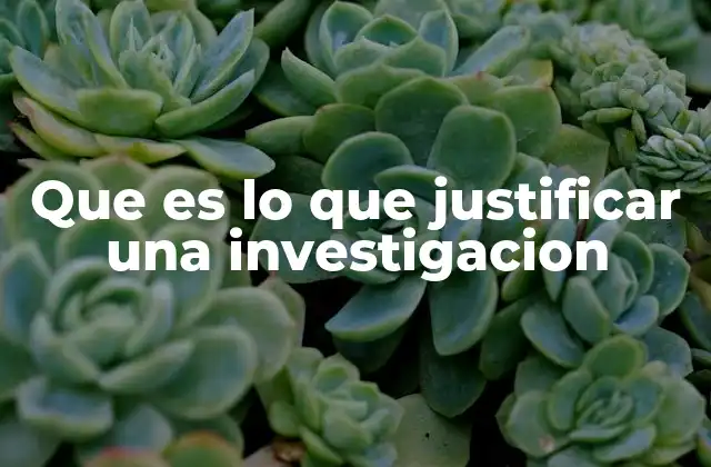 Que es Lo que Justificar una Investigacion