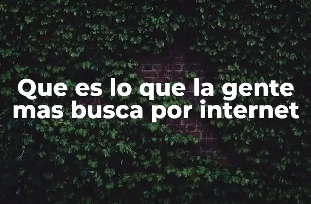 Que es Lo que la Gente mas Busca por Internet