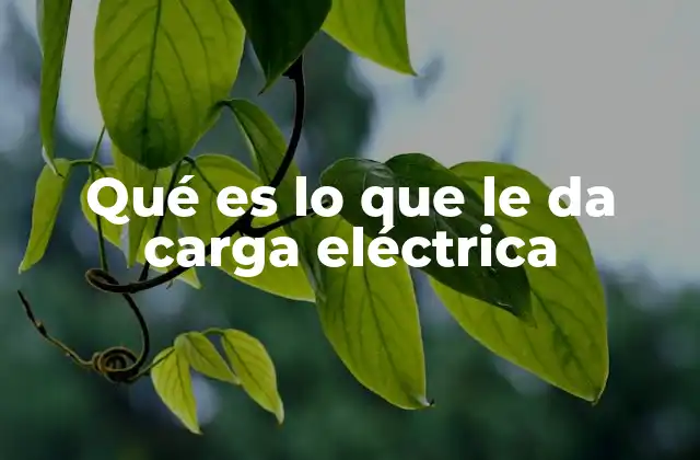 Qué es Lo que Le Da Carga Eléctrica