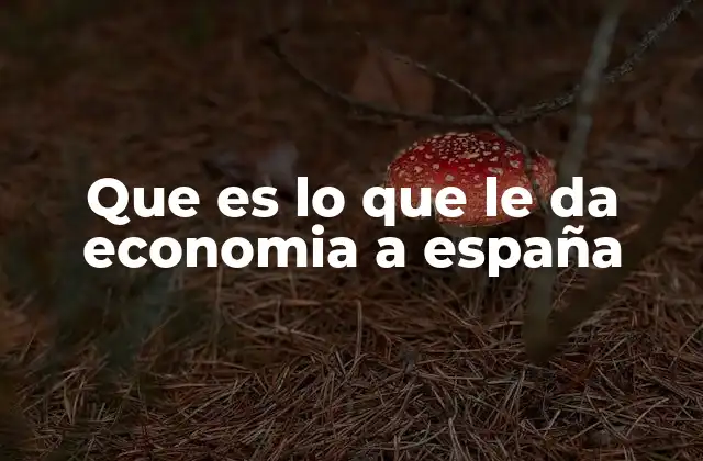 Que es Lo que Le Da Economia a España