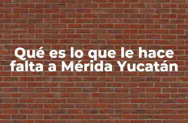 Qué es Lo que Le Hace Falta a Mérida Yucatán