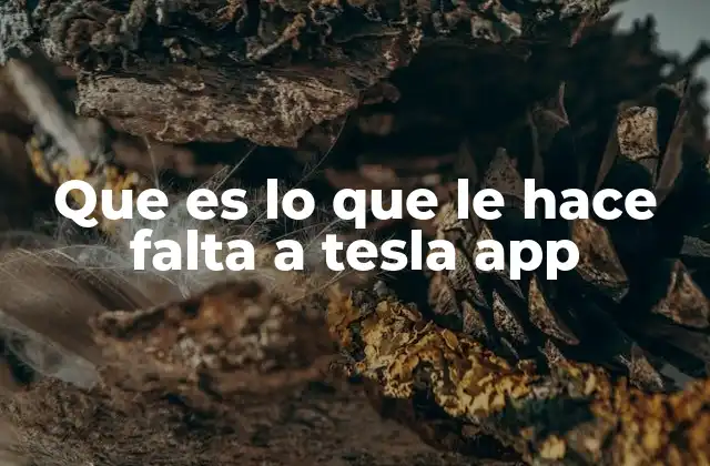 El potencial no aprovechado de la conexión entre el usuario y el coche