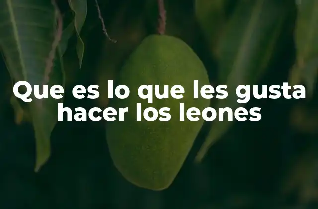 Que es Lo que Les Gusta Hacer los Leones