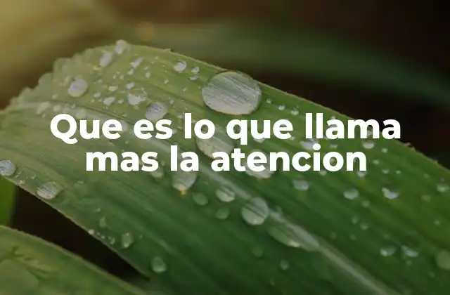 Que es Lo que Llama mas la Atencion