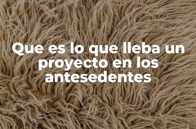 Que es Lo que Lleba un Proyecto en los Antesedentes
