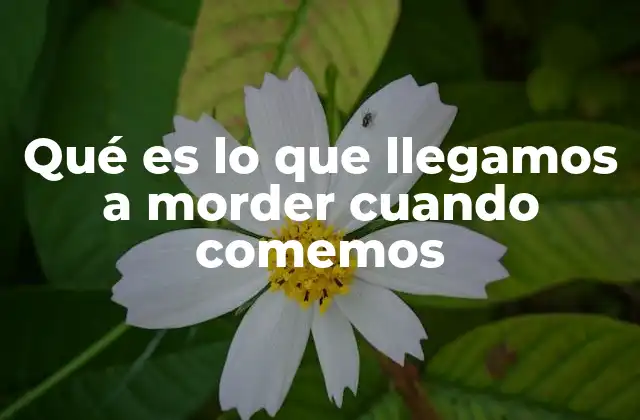 Qué es Lo que Llegamos a Morder Cuando Comemos