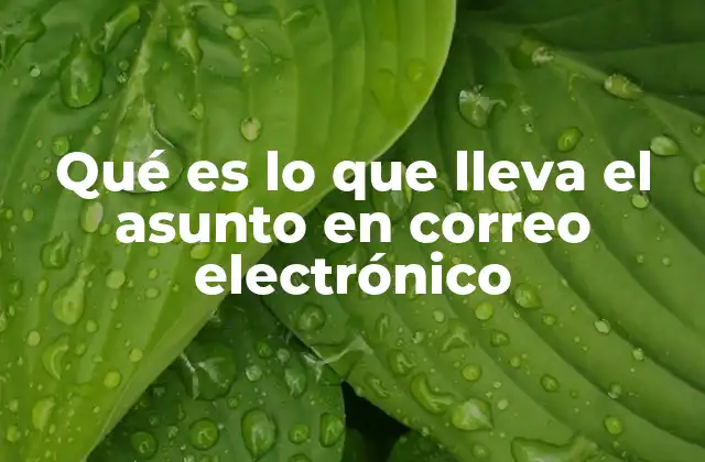 Qué es Lo que Lleva el Asunto en Correo Electrónico 2 La importancia del asunto en la comunicación digital