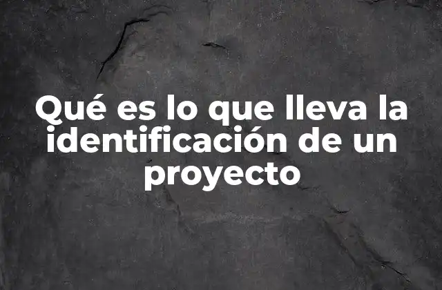 Qué es Lo que Lleva la Identificación de un Proyecto