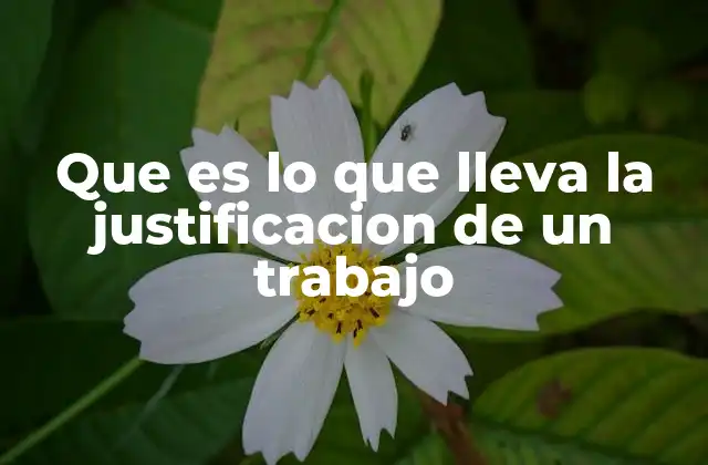 Que es Lo que Lleva la Justificacion de un Trabajo
