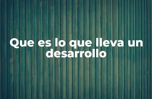 Que es Lo que Lleva un Desarrollo