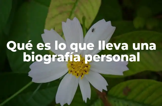 Qué es Lo que Lleva una Biografía Personal