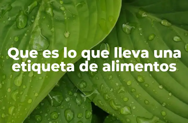 Que es Lo que Lleva una Etiqueta de Alimentos