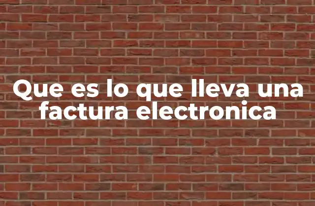Que es Lo que Lleva una Factura Electronica