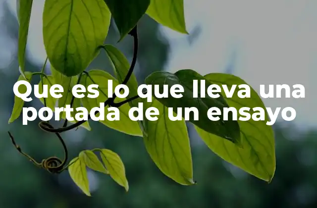 Que es Lo que Lleva una Portada de un Ensayo