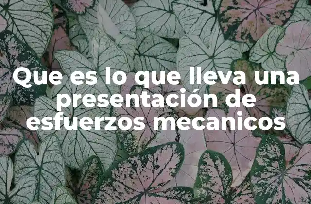 Que es Lo que Lleva una Presentación de Esfuerzos Mecanicos