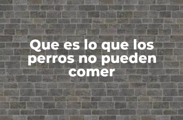 Que es Lo que los Perros No Pueden Comer 2 Alimentos que son perjudiciales para la salud canina