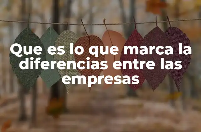 Que es Lo que Marca la Diferencias entre las Empresas