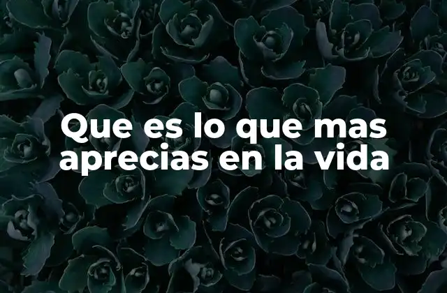 Que es Lo que mas Aprecias en la Vida