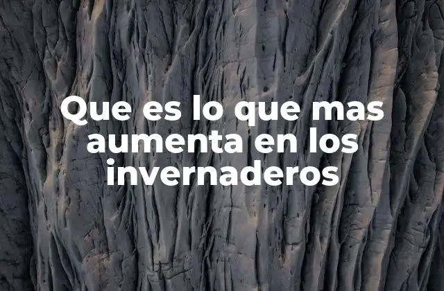 Cómo se favorece el crecimiento en los invernaderos