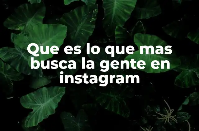 Que es Lo que mas Busca la Gente en Instagram