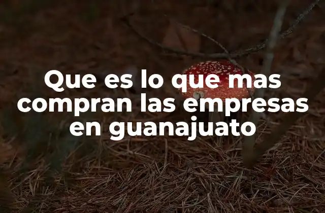 Que es Lo que mas Compran las Empresas en Guanajuato