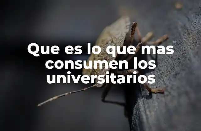 Que es Lo que mas Consumen los Universitarios