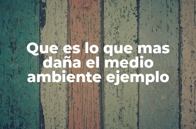 Que es Lo que mas Daña el Medio Ambiente Ejemplo