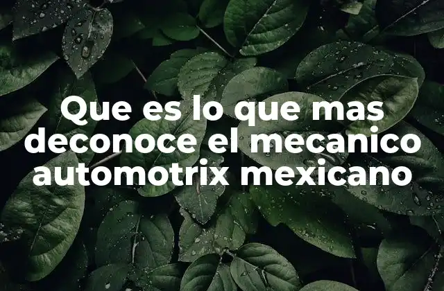 Que es Lo que mas Deconoce el Mecanico Automotrix Mexicano