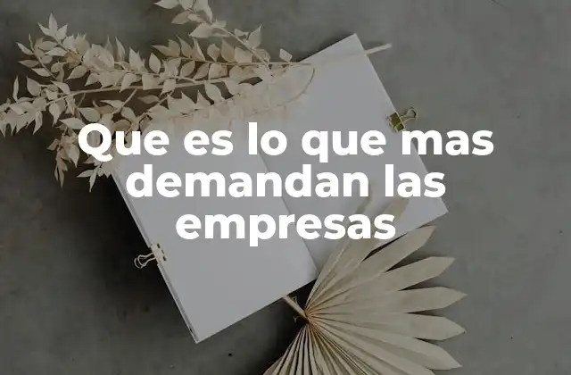Que es Lo que mas Demandan las Empresas