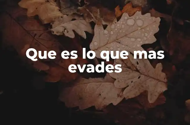 Que es Lo que mas Evades