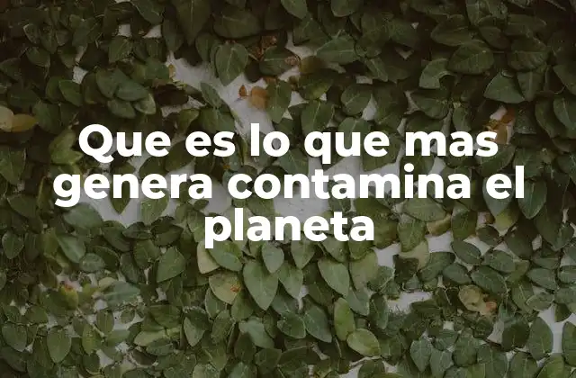 Que es Lo que mas Genera Contamina el Planeta