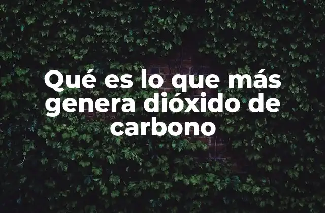 Las fuentes detrás de las emisiones más altas de dióxido de carbono
