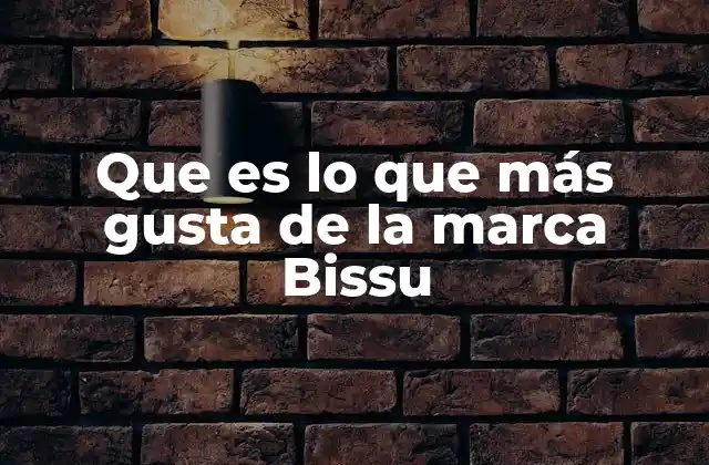 Que es Lo que Más Gusta de la Marca Bissu