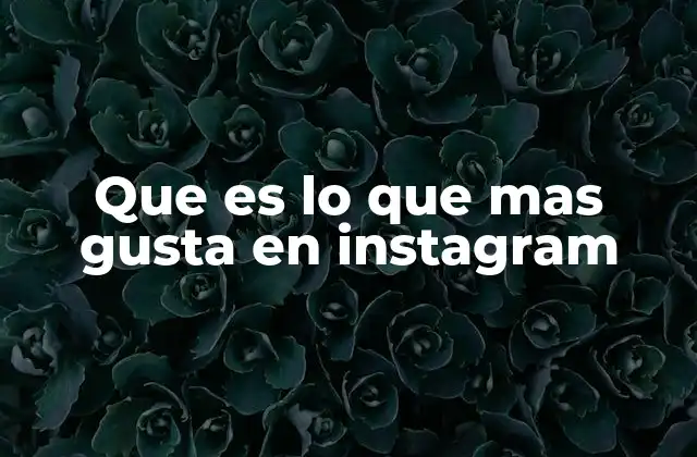 Que es Lo que mas Gusta en Instagram