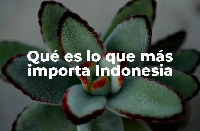 Qué es Lo que Más Importa Indonesia
