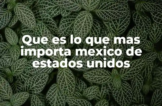Que es Lo que mas Importa Mexico de Estados Unidos
